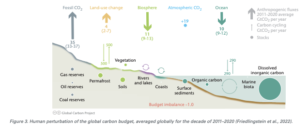 Key COP27 Takeaways for the Apparel Industry