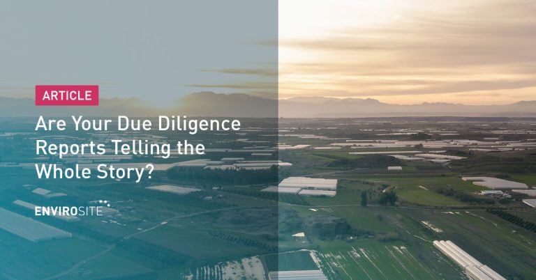 Due Diligence Report