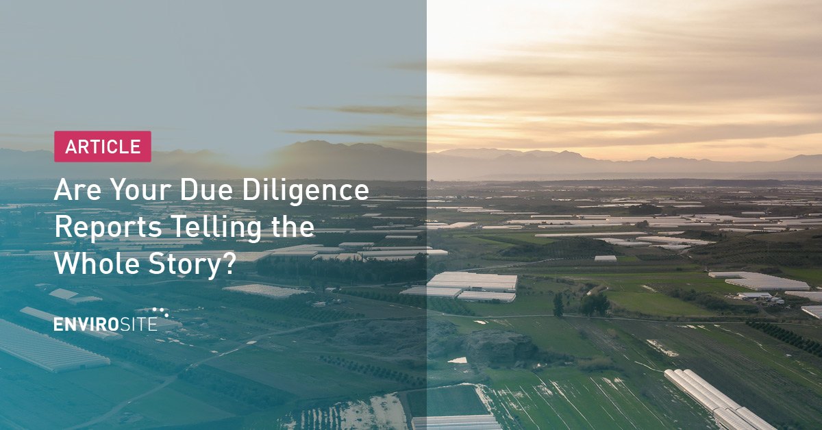 Due Diligence Report