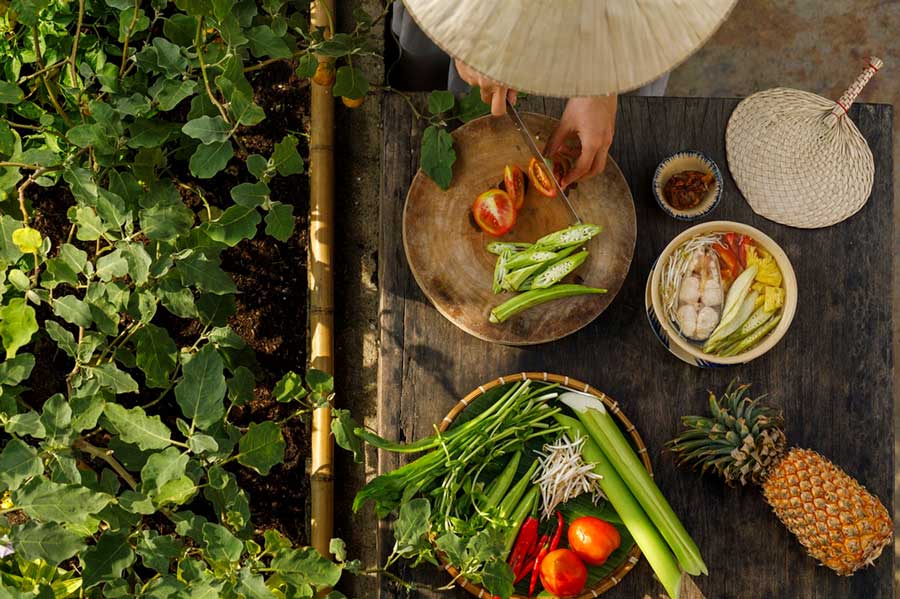 The Rise of Plant-Based Meat and Dairy Substitutes thumbnail