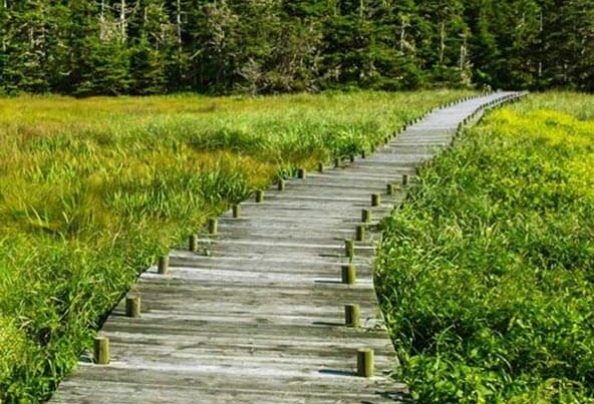 sustainability-esg-reporting-thumb